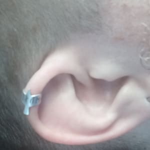 William added a photo of their purchase