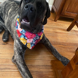 Susan added a photo of their purchase