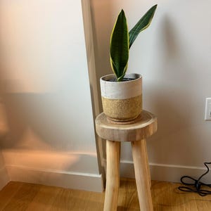 Khai added a photo of their purchase