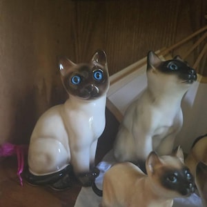 Becky added a photo of their purchase