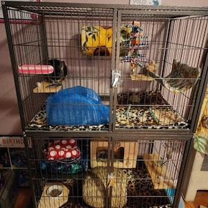 Care added a photo of their purchase