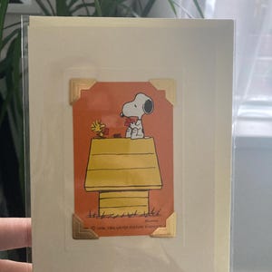 Lucy a ajouté une photo de son achat