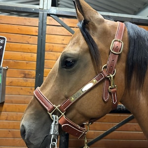Torrie hat ein Foto des gekauften Artikels hinzugefügt