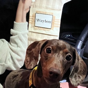 April added a photo of their purchase