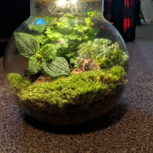 Abbie added a photo of their purchase