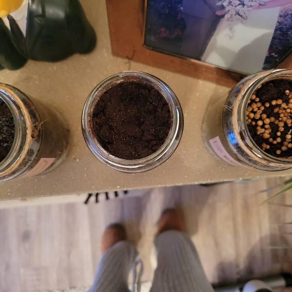 Indoor Herb Garden Grow Your Own Kit - Eco Care Hamper Gift for Her or ...