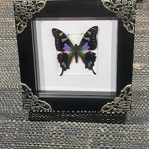 Aimee added a photo of their purchase