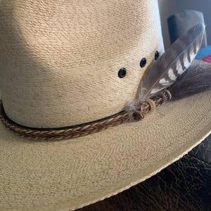 Donald added a photo of their purchase