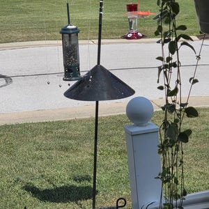 How to Keep Sparrows Away from Bird Feeders: Effective Tips
