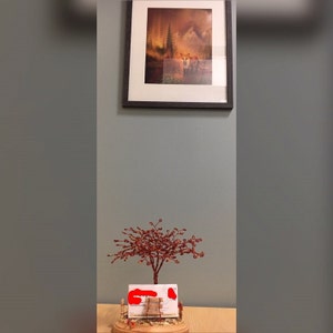 Hilary ha añadido una foto de su compra