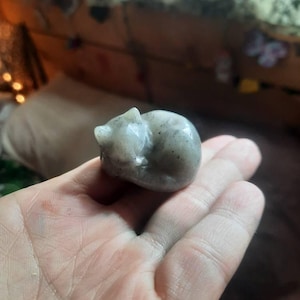 Anna added a photo of their purchase