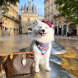 jdombrowskiitaly added a photo of their purchase