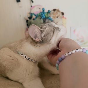 Rion さんが購入した商品の写真を追加しました