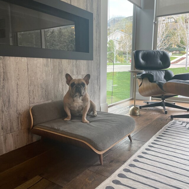 Letto top daybed dog