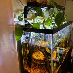 Mindbender added a photo of their purchase