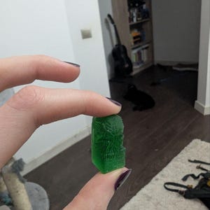 Elena added a photo of their purchase