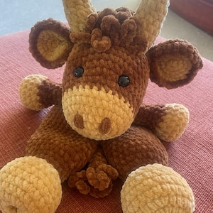 Paula added a photo of their purchase