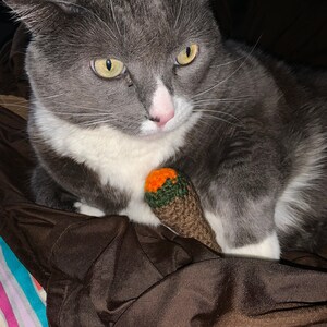 lisa heeft een foto van zijn/haar aankoop toegevoegd