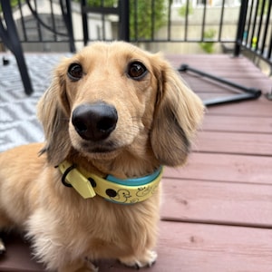 Shelby added a photo of their purchase