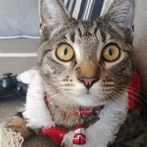 Amara added a photo of their purchase