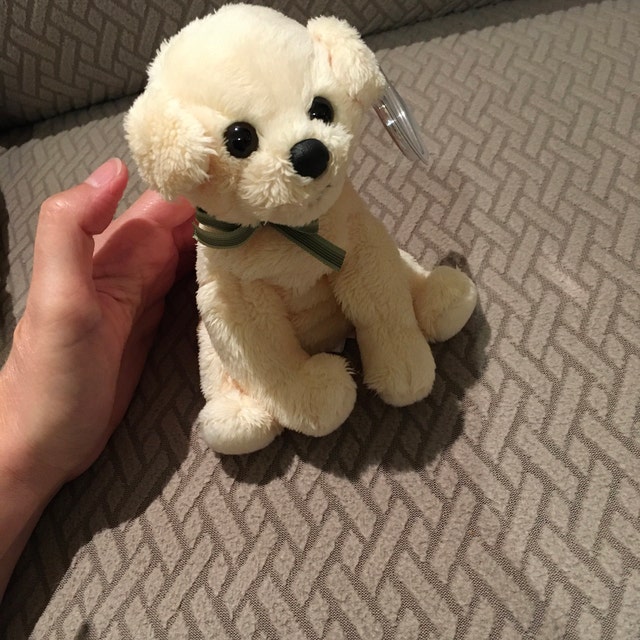 Ty Beanie Baby “bounds” the Yellow Labrador Retriever (6 Inch) - Etsy
