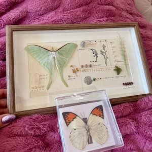Melanie added a photo of their purchase