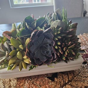 Brittany added a photo of their purchase