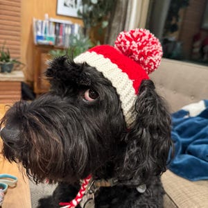 Comprador de Etsy ha añadido una foto de su compra