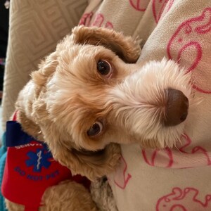 Anne-Marie ha aggiunto una foto del proprio acquisto