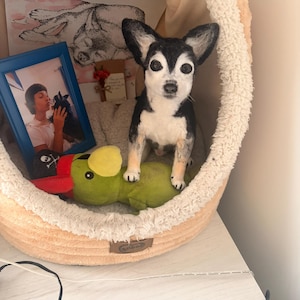 Beatriz added a photo of their purchase