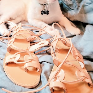 Hailey ha añadido una foto de su compra