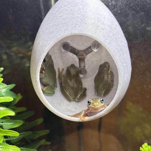 Stroodies EGG Hide for Frogs and Lizards and Such | Suction Cup or ...