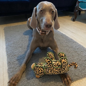 Corn added a photo of their purchase