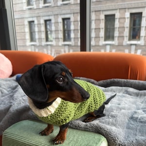 Anna added a photo of their purchase