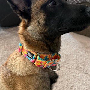 charlotte added a photo of their purchase