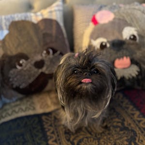 annette added a photo of their purchase