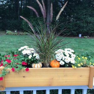 Barbara added a photo of their purchase