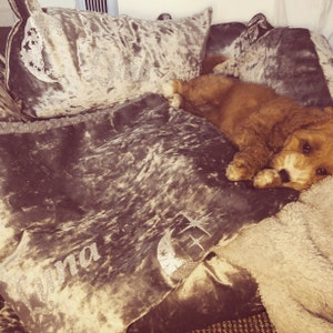 Ella added a photo of their purchase