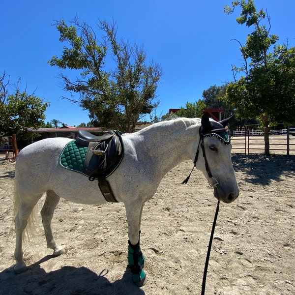 Lot De Protections Cheval – Tapis De Selle, Filet à Mouches, Guêtres, Cloches – Best Horse – Vert
