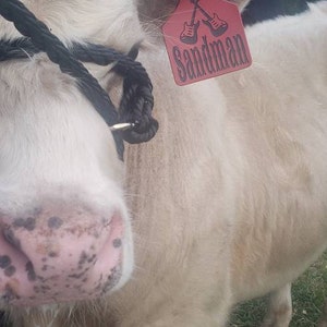 Amanda added a photo of their purchase