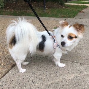 Elena a ajouté une photo de son achat