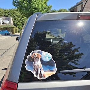 Jos added a photo of their purchase
