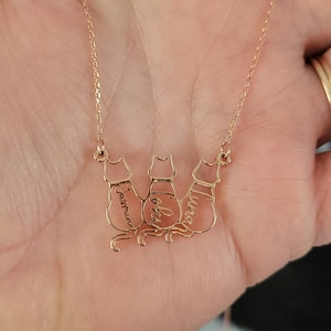 Hannah added a photo of their purchase