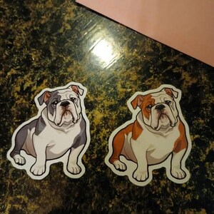 megan added a photo of their purchase