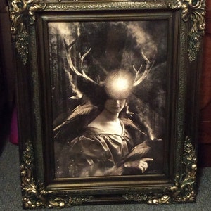 Lucinda added a photo of their purchase