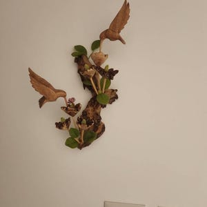 O added a photo of their purchase