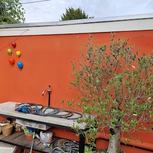 Erik-Jan added a photo of their purchase