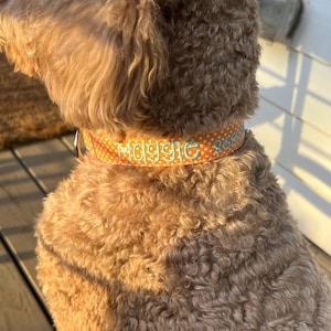 Haley added a photo of their purchase