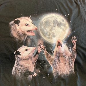 Lauren added a photo of their purchase