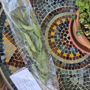 Katt'z added a photo of their purchase